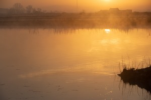 BRUME MATINALE AU LEVER DE SOLEIL SUR LA RIVIERE LA CHARENTE, ROCHEFORT, CHARENTE-MARITIME (17), FRANCE 