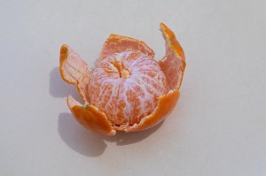 CLEMENTINE EPLUCHEE 