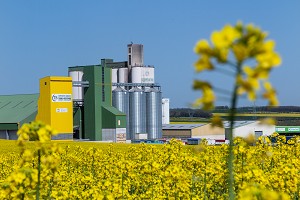 COOPERATIVE AGRICOLE DE TONNAY-BOUTONNE DEVANT UN CHAMP DE COLZA EN FLEUR, CHARENTE-MARITIME (17), FRANCE 