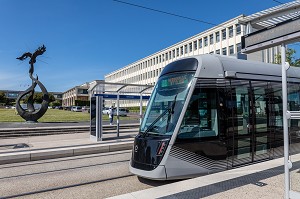 TRAMWAY DEVANT LE PHENIX DE L'UNIVERSITE DE CAEN, SCULPTURE DE LOUIS LEYGUE, CALVADOS, NORMANDIE, FRANCE 