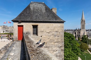 PIGEONS SUR LES REMPARTS DU CHATEAU DE CAEN CONSTRUIT VERS 1060 (XI EME SIECLE) PAR GUILLAUME LE CONQUERANT, RESIDENCE DES DUCS DE NORMANDIE, CLOCHER DE L'EGLISE SAINT-PIERRE, CAEN (14), NORMANDIE, FRANCE 