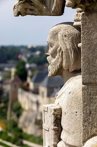 GARGOUILLE DE CHIEN SUR LA FACADE DE L'EGLISE SAINT-PIERRE, CAEN, CALVADOS, NORMANDIE, FRANCE 