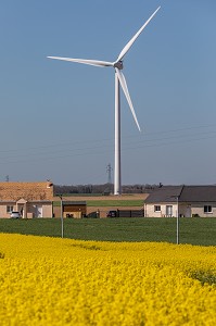 EOLIENNE PRES DES MAISONS DEVANT UN CHAMP DE COLZA, MESNIL-SUR-ITON, EURE, NORMANDIE, FRANCE 