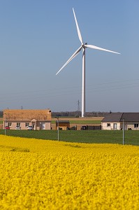 EOLIENNE PRES DES MAISONS DEVANT UN CHAMP DE COLZA, MESNIL-SUR-ITON, EURE, NORMANDIE, FRANCE 