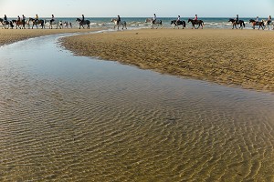 BALADE A CHEVAL SUR LA PLAGE DE CABOURG, COTE FLEURIE, CALVADOS, NORMANDIE, FRANCE 