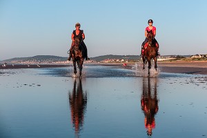 ENTRAINEMENT DES CHEVAUX DE COMPETITION SUR LA PLAGE DE CABOURG, COTE FLEURIE, CALVADOS, NORMANDIE, FRANCE 