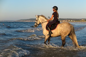 ENTRAINEMENT DES CHEVAUX DE COMPETITION SUR LA PLAGE DE CABOURG, COTE FLEURIE, CALVADOS, NORMANDIE, FRANCE 