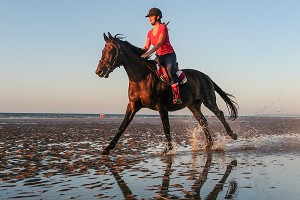 ENTRAINEMENT DES CHEVAUX DE COMPETITION SUR LA PLAGE DE CABOURG, COTE FLEURIE, CALVADOS, NORMANDIE, FRANCE 