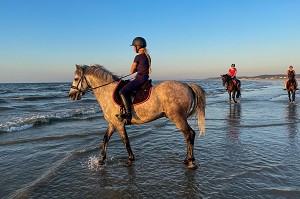 ENTRAINEMENT DES CHEVAUX DE COMPETITION SUR LA PLAGE DE CABOURG, COTE FLEURIE, CALVADOS, NORMANDIE, FRANCE 