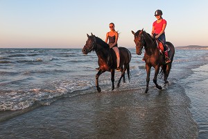 ENTRAINEMENT DES CHEVAUX DE COMPETITION SUR LA PLAGE DE CABOURG, COTE FLEURIE, CALVADOS, NORMANDIE, FRANCE 