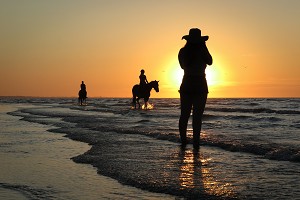 ENTRAINEMENT DES CHEVAUX DE COMPETITION SUR LA PLAGE DE CABOURG, COTE FLEURIE, CALVADOS, NORMANDIE, FRANCE 