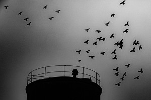 CHATEAU D'EAU ET VOL DE PIGEON, CITE DU MOULIN A PAPIER, RUGLES, EURE, NORMANDIE, FRANCE 