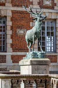 LE CERF QUI A PRIS UNE BALLE ALLEMANDE POUR LA SECONDE GUERRE MONDIALE, LYCEE AGRICOLE DU CHATEAU DE CHAMBRAY, MESNIL-SUR-ITON, EURE, NORMANDIE, FRANCE 