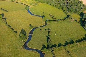 PRAIRIES ET ELEVAGE DE VACHES, LA VALLEE DE LA RISLE, LA VIEILLE-LYRE, EURE, NORMANDIE, FRANCE 