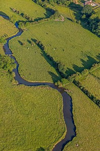 PRAIRIES ET ELEVAGE DE VACHES, LA VALLEE DE LA RISLE, LA VIEILLE-LYRE, EURE, NORMANDIE, FRANCE 