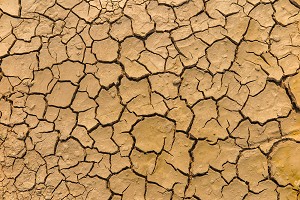 ILLUSTRATION DE LA SECHERESSE, TERRE CRAQUELEE QUAND L'EAU SE RETIRE FAUTE DE PRECIPITATIONS, BLAYE, GIRONDE, FRANCE 
