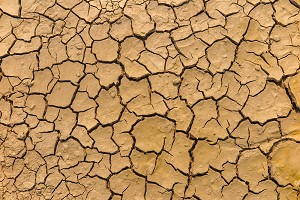 ILLUSTRATION DE LA SECHERESSE, TERRE CRAQUELEE QUAND L'EAU SE RETIRE FAUTE DE PRECIPITATIONS, BLAYE, GIRONDE, FRANCE 