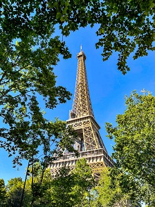 TOUR EIFFEL AU MILIEU DE LA VEGETATION PARISIENNE, PARIS, FRANCE 