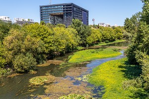 HOTEL DE VILLE ET LA RIVIERE LE LEZ, MONTPELLIER, HERAULT, OCCITANIE, FRANCE 