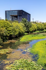 HOTEL DE VILLE ET LA RIVIERE LE LEZ, MONTPELLIER, HERAULT, OCCITANIE, FRANCE 