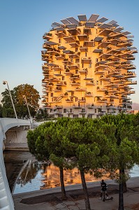 IMMEUBLE MODERNE L'ARBRE BLANC, ARCHITECTES SOO FOUJIMOTO, NICOLAS LAISNE ET MANAL RACHDI, BATIMENT ELU PLUS BEL IMMEUBLE RESIDENTIEL DU MONDE EN 2019, PLACE CHRISTOPHE COLOMB, MONTPELLIER, HERAULT, OCCITANIE, FRANCE 