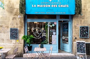 SALON DE THE LA MAISON DES CHATS, RUE DE LA CARBONNERIE, MONTPELLIER, HERAULT, OCCITANIE, FRANCE 