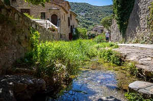 PETITE RUELLE DU VILLAGE, CLASSE PLUS BEAU VILLAGE DE FRANCE, SAINT-GUILHEM-LE-DESERT, HERAULT, OCCITANIE, FRANCE 