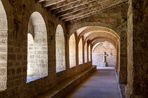 CLOITRE DE L'ABBAYE DE GELLONE, ABBAYE BENEDICTINE ROMANE DU IX EME SIECLE, SAINT-GUILHEM-LE-DESERT, CLASSE PLUS BEAU VILLAGE DE FRANCE, HERAULT, OCCITANIE, FRANCE 