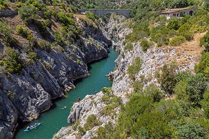 CANOES ET BAIGNEURS, GORGES DE L'HERAULT SUR LE CHEMIN DE SAINT-JACQUES DE COMPOSTELLE, ANIANE, SAINT-GUILHEM-LE-DESERT, HERAULT, OCCITANIE, FRANCE 