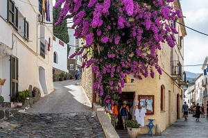 BOUGAINVILLIER VIOLET DANS LES RUELLES ESCARPEES DU VILLAGE, CADAQUES, COSTA BRAVA, CATALOGNE, ESPAGNE 