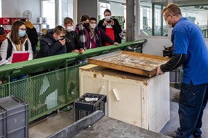 VISITE PEDAGOGIQUE POUR UN PROJET CULTUREL DES ELEVES DE QUATRIEME DU COLLEGE VICTOR HUGO DE RUGLES, USINE DE LA MANUFACTURE BOHIN, CONSERVATOIRE VIVANT DE L’AIGUILLE ET DE L’EPINGLE, SAINT-SULPICE-SUR-RISLE, ORNE (61), FRANCE 