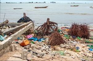 MONTEE DES EAUX SALEES SUR LES PLAGES DE LA LAGUNE DU FLEUVE DETRUISANT MAISONS ET ARBRES (RACINES DE COCOTIERS) AU MILIEU DES DECHETS PLASTIQUES, SAINT-LOUIS-DU-SENEGAL, SENEGAL, AFRIQUE DE L'OUEST 