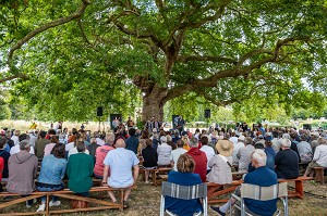 CONCERT DES MEGOTS SOUS LES PLATANES AVEC UNE EXPOSITION TERRE FRAGILE, ARBRE REMARQUABLE DE 300 ANS, VILLE DE L'AIGLE, ORNE, NORMANDIE, FRANCE 