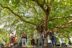 CONCERT DES MEGOTS SOUS LES PLATANES AVEC UNE EXPOSITION TERRE FRAGILE, ARBRE REMARQUABLE DE 300 ANS, VILLE DE L'AIGLE, ORNE, NORMANDIE, FRANCE 