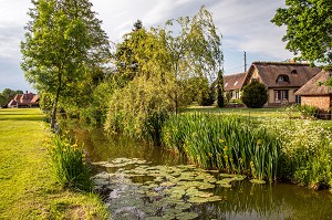 CHAUMIERE NORMANDE SUR UN BRAS MORT DE LA RIVIERE, TRISAY, LA VIEILLE-LYRE, VALLEE DE LA RISLE, EURE, NORMANDIE, FRANCE 