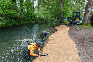 AMENAGEMENT DES BERGES DE LA RIVIERE ET VEGETALISATION AVEC DES PLANTES AQUATIQUES, VALLEE DE LA RISLE, LA VIEILLE-LYRE, EURE, NORMANDIE, FRANCE 