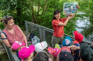 ANIMATRICE NATURE ET DECOUVERTE DE LA FAUNE ET DE LA FLORE AUTOUR DE LA RIVIERE, ELEVES ET ENSEIGNANTE DE L'ECOLE MATERNELLE DE BOURTH, VALLEE DE L'ITON, EURE, NORMANDIE, FRANCE 