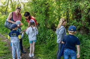 ANIMATRICE NATURE ET DECOUVERTE DE LA FAUNE ET DE LA FLORE AUTOUR DE LA RIVIERE, ELEVES ET ENSEIGNANTE DE L'ECOLE MATERNELLE DE BOURTH, VALLEE DE L'ITON, EURE, NORMANDIE, FRANCE 