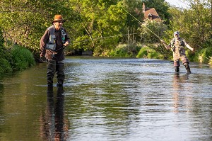 PECHE A LA MOUCHE, HAMEAU DU ROUGE MOULIN, VALLEE DE LA RISLE, LA VIEILLE-LYRE, EURE, NORMANDIE, FRANCE 