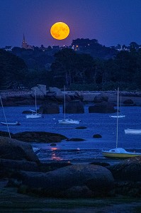 LEVER DE LUNE ROUSSE SUR LA BAIE SAINTE-ANNE, POINTE DE L'ILE RENOTE, TREGASTEL, COTE DE GRANIT ROSE, COTES-D’ARMOR, BRETAGNE, FRANCE 