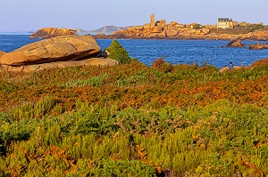 VUE SUR LE PHARE DE PLOUMANACH AU COUCHER DE SOLEIL, ESPACE NATUREL DE LANDES ET FOUGERES DE LA POINTE DE L'ILE RENOTE, TREGASTEL, COTE DE GRANIT ROSE, COTES-D’ARMOR, BRETAGNE, FRANCE 