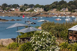 JARDIN PRIVATIF AVEC VUE SUR LE PORT DE PLOUMANAC'H, PERROS-GUIREC, COTE DE GRANIT ROSE, COTES-D'AMOR, BRETAGNE, FRANCE 