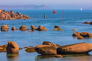 VOILIERS EN BORD DE MER DEPUIS LE CHEMIN DES DOUANIERS DE PLOUMANAC'H, COTE DE GRANIT ROSE, COTES-D'AMOR, BRETAGNE, FRANCE 