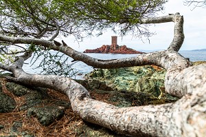 L'ILE D'OR VUE DE LA BALADE SUR LE SENTIER DU CAP DRAMONT, SAINT-RAPHAEL, VAR, FRANCE 