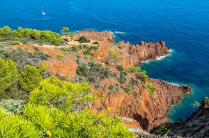 LES ROCHES ROUGES VUE DE LA BALADE SUR LE SENTIER DU CAP DRAMONT, SAINT-RAPHAEL, VAR, FRANCE 