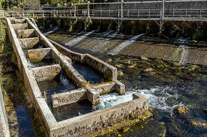 PASSE A POISSONS SUR LA SORGUE, FONTAINE-DE-VAUCLUSE, FRANCE 