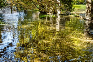 LES EAUX TRANSPARENTES ET PURES DE LA SORGUE, FONTAINE-DE-VAUCLUSE, FRANCE 