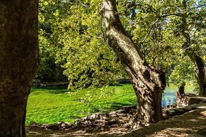 LES EAUX TRANSPARENTES ET PURES DE LA SORGUE, FONTAINE-DE-VAUCLUSE, FRANCE 