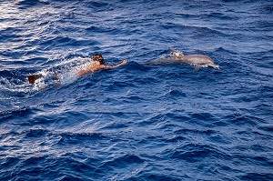 PLONGEE AVEC LES DAUPHINS, MASQUE ET TUBA EN MER ROUGE, HURGHADA, EGYPTE, AFRIQUE 