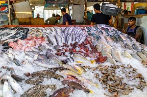 LES ETALAGES DE POISSONS COLOREES DU MARCHE AUX POISSONS DE LA MARINA, HURGHADA, EGYPTE, AFRIQUE 